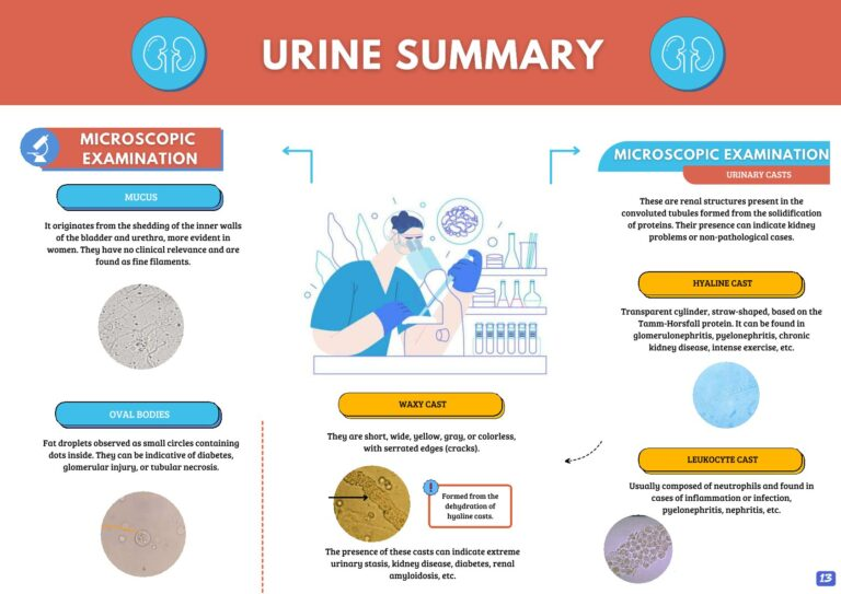 Urine summary guide sample